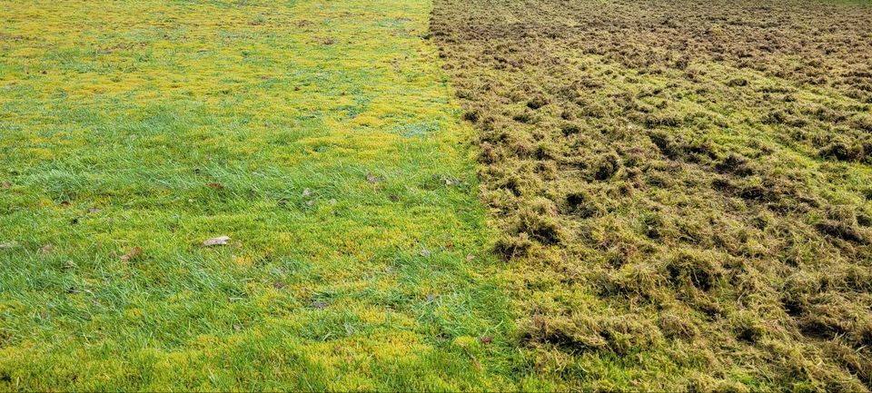 Vertikutierer zu VERMIETEN, Rasen vertikutieren,  Rasen lüften in Hünxe