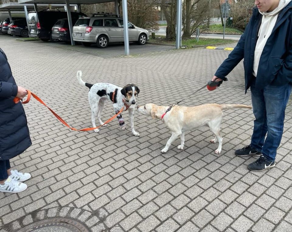 Baby sucht die passenden Menschen in Hamburg