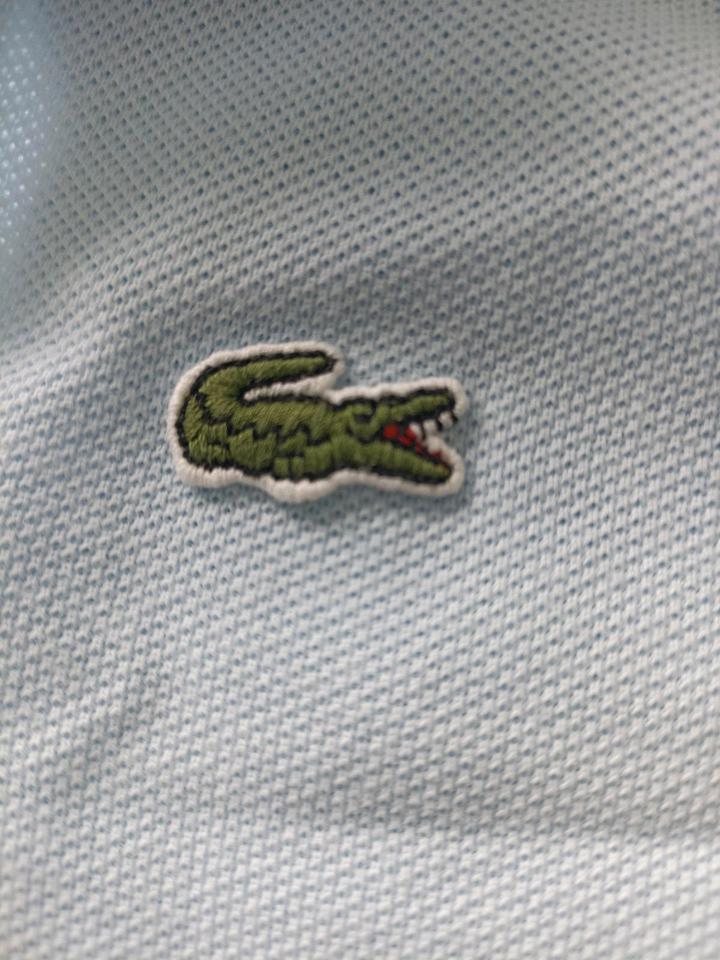Kinder Polo-Shirt von Ralph Lauren, Lacoste 116,128,134,140 in München