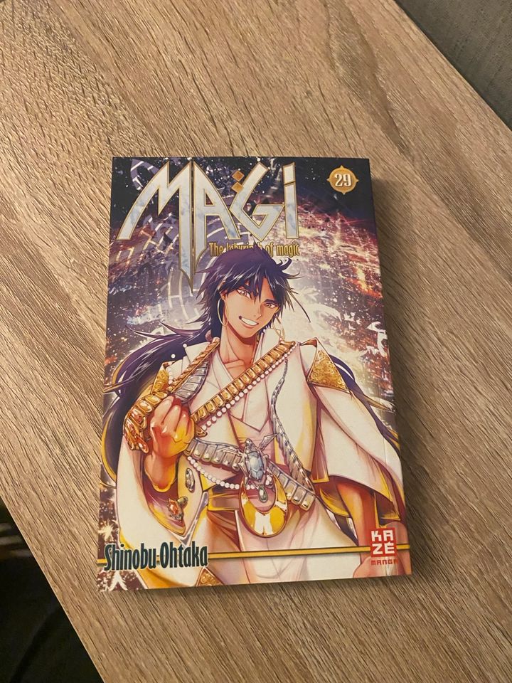 Magi: The labyrinth of magic Band 29 in Rüsselsheim