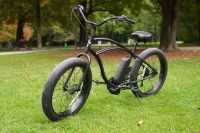 Electra Lux 7D Fat Cruiser TSDZ2 E-Bike Umbau München - Thalk.Obersendl.-Forsten-Fürstenr.-Solln Vorschau