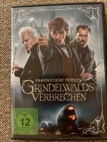 DVD Phantastische Tierwesen - Grindelwalds Verbrechen Kr. München - Ottobrunn Vorschau