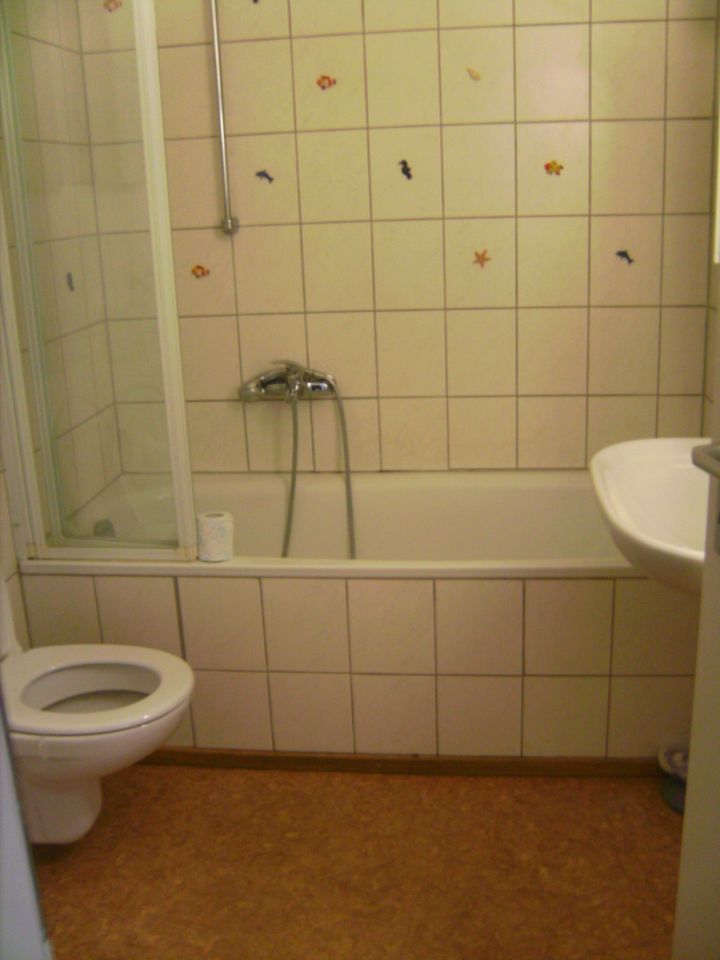 Sonnige 3 Zimmer Küche Bad Wohnung Horb Zentrum in Horb am Neckar