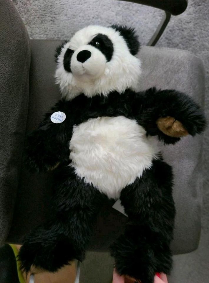 Build a bear Panda in Wilhelmshaven