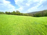 Grünland- und Waldflächen in Windeck Nordrhein-Westfalen - Windeck Vorschau