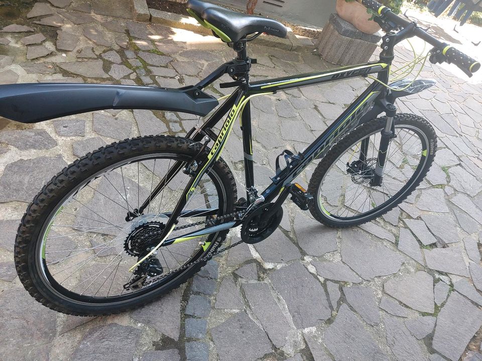 26 Zoll jungen Fahrrad (Capriolo. ) in Uetersen