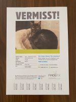 Katze in Stuttgart Hofen vermisst Mühlhausen - Hofen Vorschau