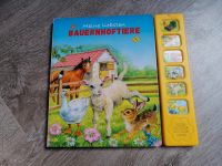 Soundbuch Bauernhof Rheinland-Pfalz - Allenbach Vorschau