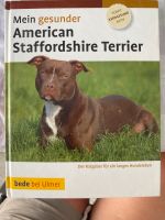 Mein gesunder American Staffordshire Terrier Baden-Württemberg - Ehingen (Donau) Vorschau