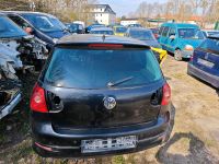 Golf 5 Heckklappe Sachsen-Anhalt - Oschersleben (Bode) Vorschau