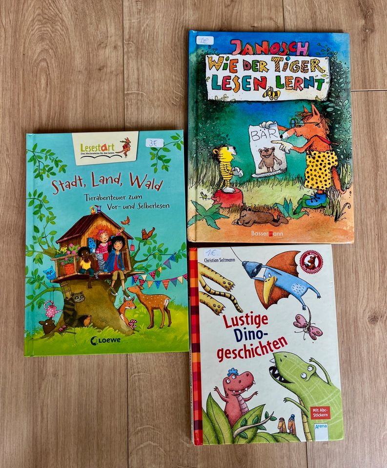 Kinderbücher Erstlesebücher Stadt, Land, Wald. Dinos, Janosch in Sehnde