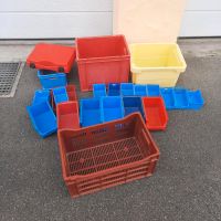 Diverse Boxen Sortierboxen Plastikboxen Baden-Württemberg - Amtzell Vorschau