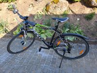 Leicht-Aluminium-Fahrrad 28 Zoll Bayern - Falkenstein Vorschau