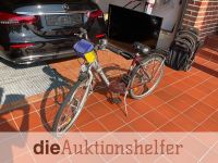 Torrek 26 Zoll Damenrad KW15 Niedersachsen - Hildesheim Vorschau