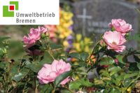 Nebenjob als Sargträger:in (w/m/d) auf dem Friedhof Osterholz Osterholz - Ellener Feld Vorschau