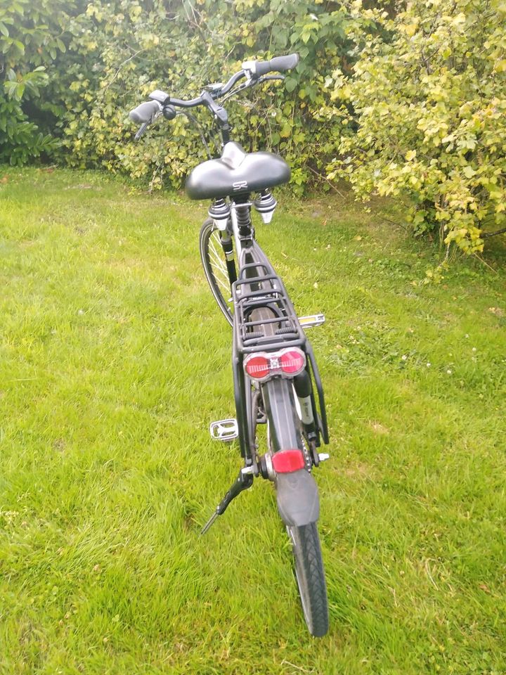 E-bike Raleigh in Langenhorn