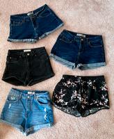 Kurze Hosen/Shorts für Damen Nordfriesland - Tating Vorschau