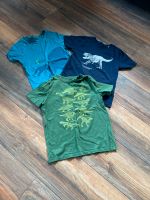 T Shirt Set Dino Sammlung Museum Shirts & GAP Hessen - Kirchhain Vorschau