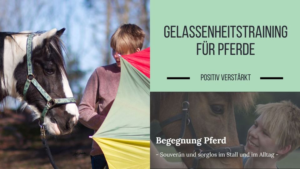 Mobiles Gelassenheitstraining für Pferde in Homberg (Efze)