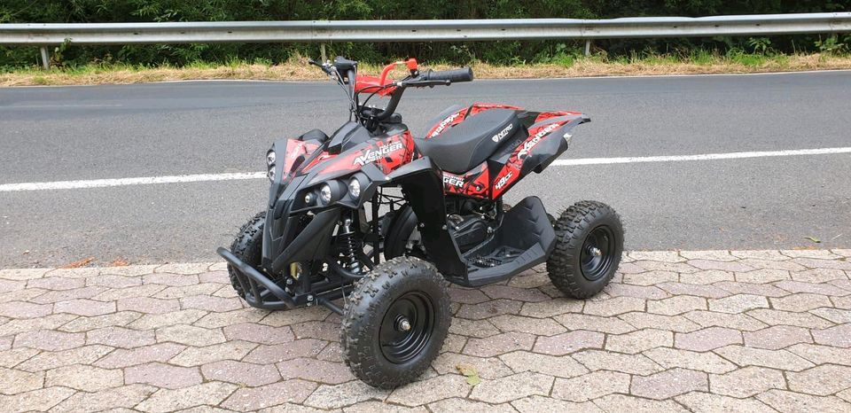 pocketquad  49cc mini Kinder Quad Avenger Sport 6" in Bad Breisig 