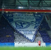 SUCHE 2x Magdeburg - Schalke (Gäste) Niedersachsen - Braunschweig Vorschau