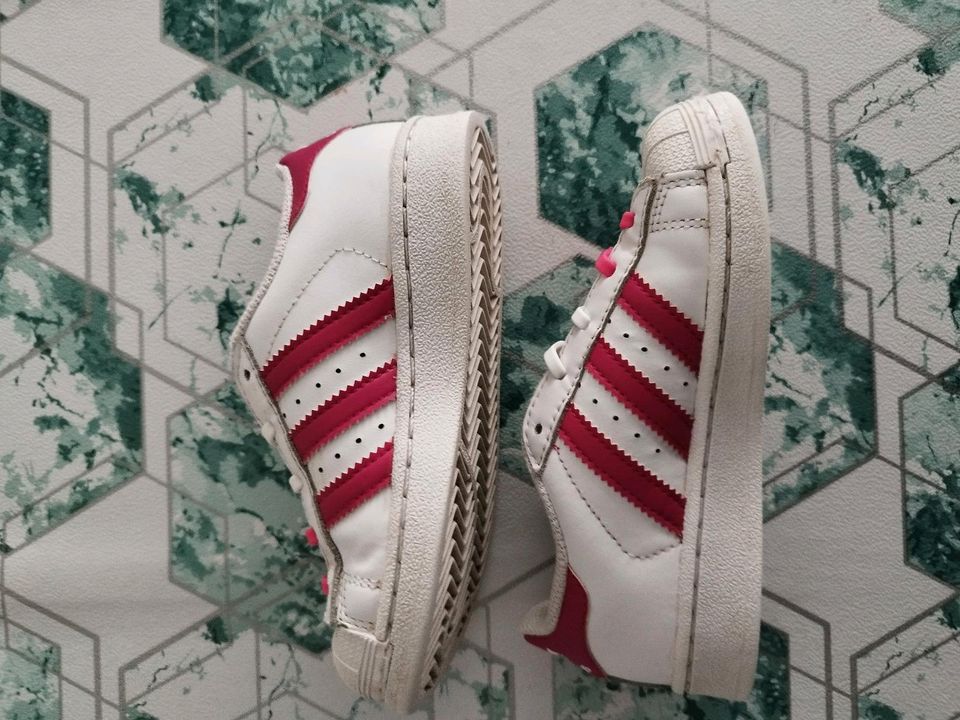 Sommer Frühling Schuh Paket Adidas Jack Wolf Kleiderpaket in Lehrte