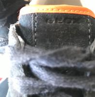 Geox / Sneaker / Größe 39 Berlin - Neukölln Vorschau