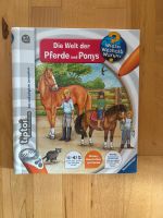 Tiptoi Pferde und Ponys Saarland - Nonnweiler Vorschau
