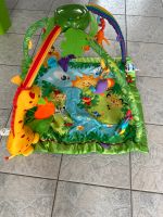 Fisher price Rainforest Baby-Erlebnisdecke Rheinland-Pfalz - Worms Vorschau