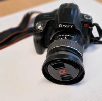 Sony alpha 290 DSLR  Spiegelreflexkamera Niedersachsen - Stolzenau Vorschau