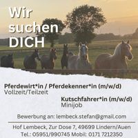 Stellenanzeige: Pferdewirt*in Niedersachsen - Werlte  Vorschau