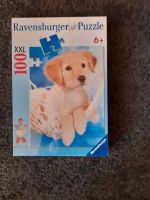 Puzzle mit Hund Niedersachsen - Bad Zwischenahn Vorschau