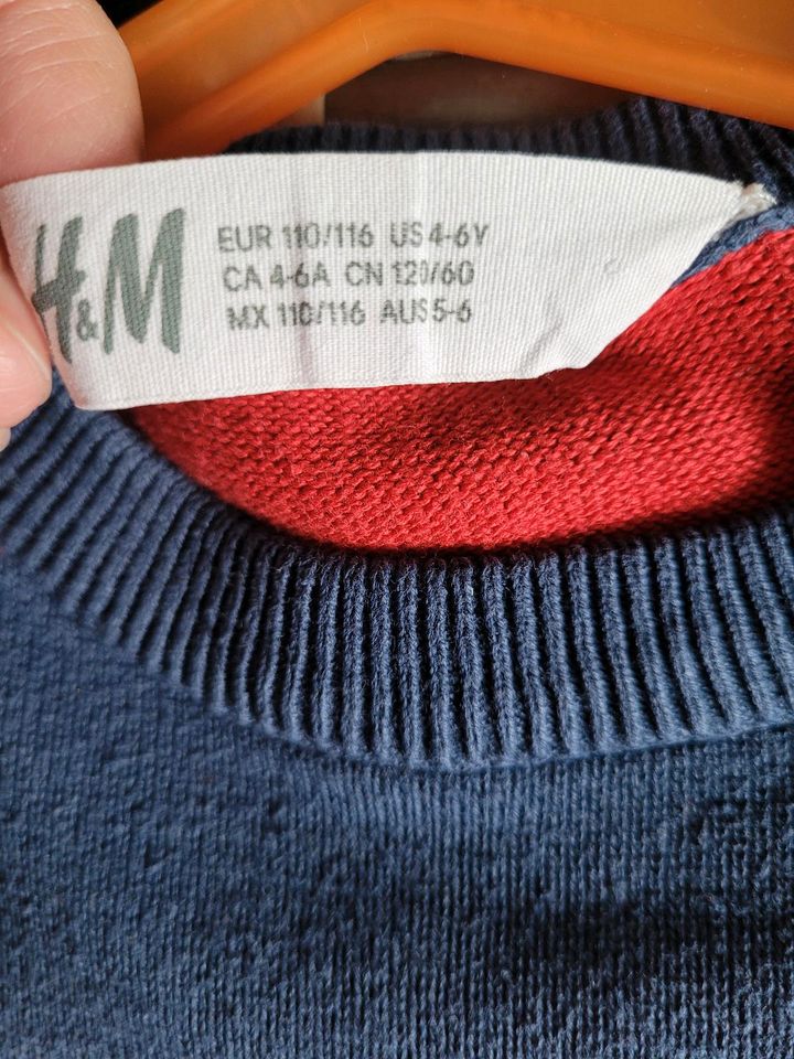 H&M Pullover Gr. 110 in Neu Ulm