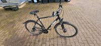 KTM Avenza Cross Street, Trekking Bike. Nordrhein-Westfalen - Recklinghausen Vorschau