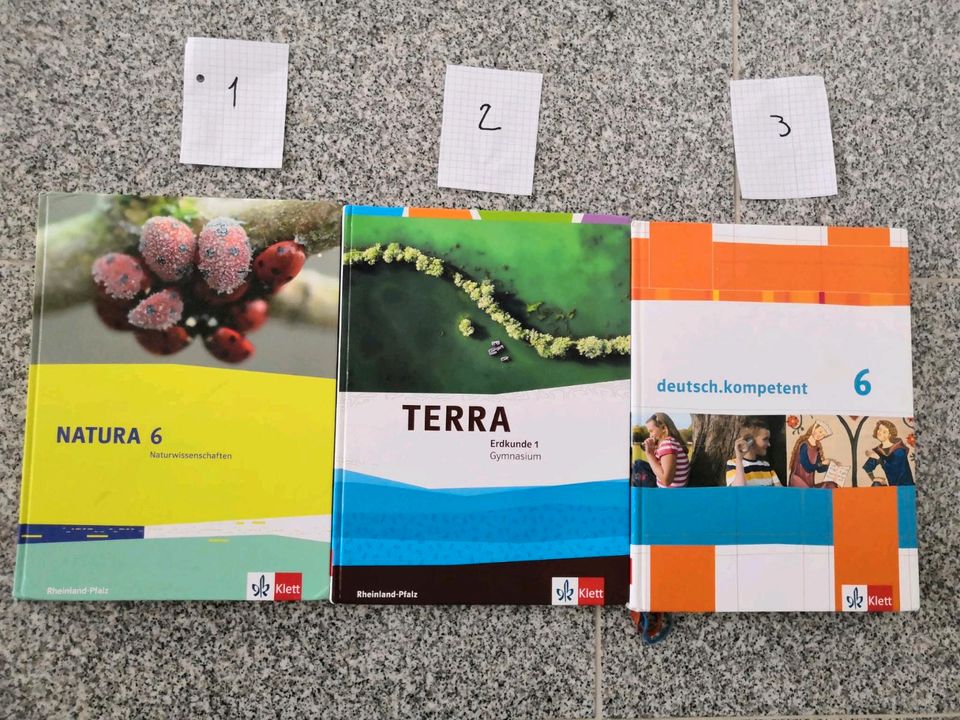 Natura 6 und Terra Erdkunde 1 in Siershahn