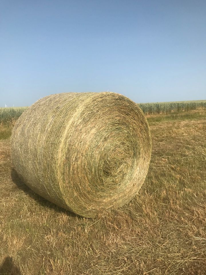 Heu 1.Schnitt 2023 Rundballen 160cm in Theilheim