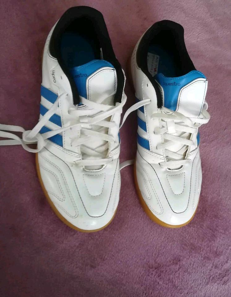 Adidas Schuhe Gr. 37, Turnschuhe, Sneaker Sportschuhe in Netzschkau