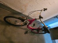 Vortex Damen/Mädchenfahrrad 24 Zoll Nordrhein-Westfalen - Fröndenberg (Ruhr) Vorschau