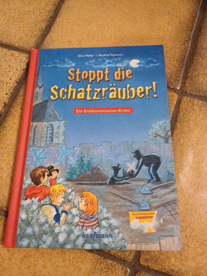 Buch Stoppt die Schatzräuber in Neuenstein