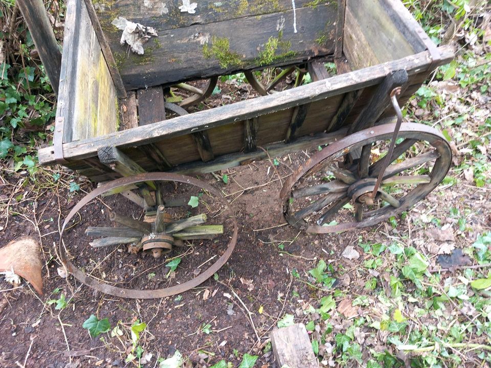Alter Bollerwagen zu verschenken antik in Mehlbach