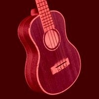 Ukulele Onlineunterricht Gitarrenunterricht Bassunterricht Online Niedersachsen - Stadland Vorschau