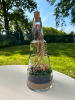2x Glas Deko Flaschen mit Trockenblumen Niedersachsen - Oldenburg Vorschau