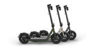 ⚡ Egret X+ | E-Scooter | Elektroroller | Camper Nordrhein-Westfalen - Emsdetten Vorschau