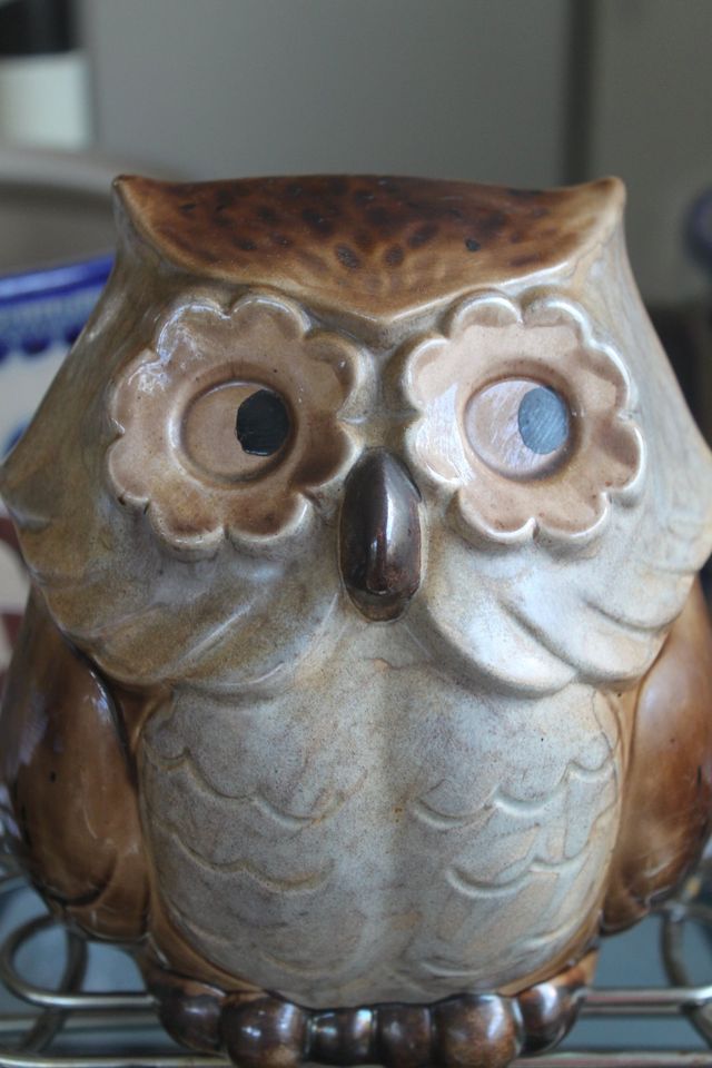 Schöne Keramik Eule in Marienheide