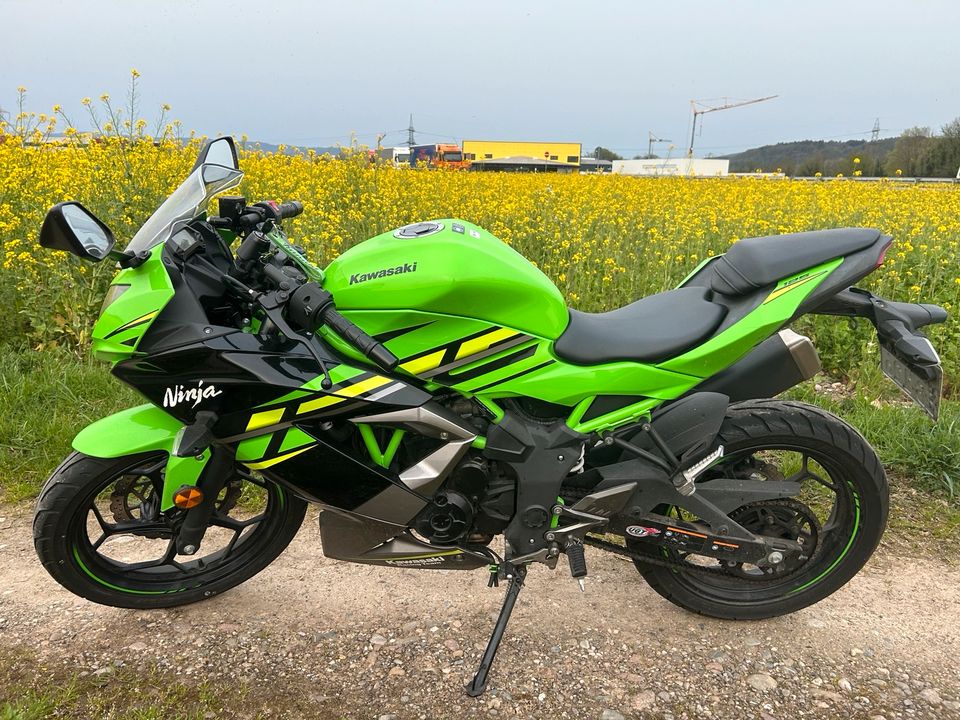 Kawasaki Ninja 125 in Rheinfelden (Baden)