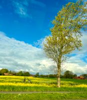 Offenstall Miete oder Pacht Nordrhein-Westfalen - Enger Vorschau