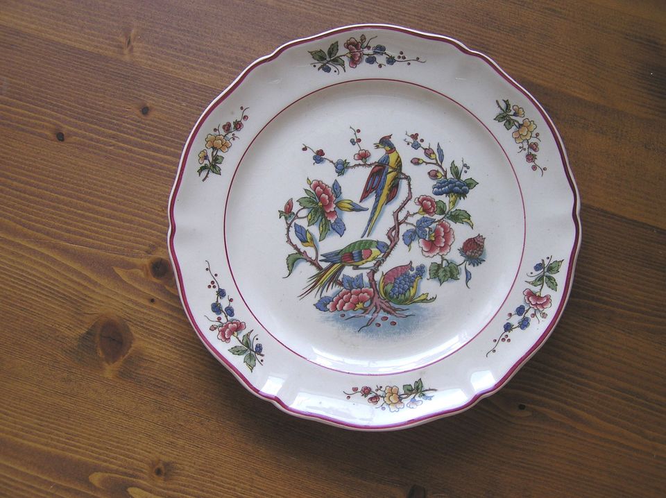 Villeroy & Boch Kuchenteller Phoenix rot rar 19 cm topp in Schwarzenbek