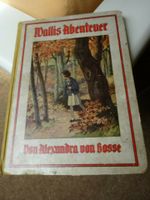 sehr altes, aber schönes Buch - Walli`s Abenteuer - 1910 - Sachsen - Zwickau Vorschau