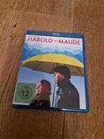 Bluray HAROLD und MAUDE Blu-Ray Klassiker Bayern - Aschaffenburg Vorschau