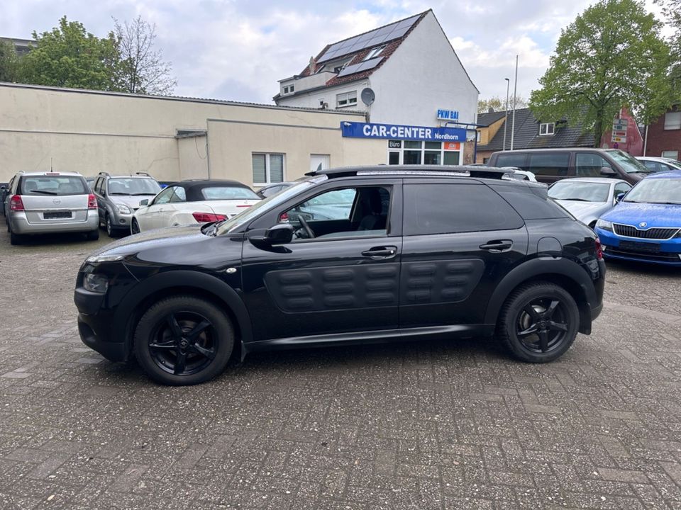 Citroën C4 Cactus Feel in Nordhorn